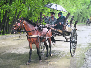 Men enjoy a horse-cart ride in Sopore on Monday.