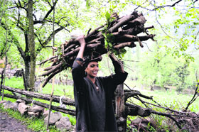 A woman carries a bundle of firewood on her head at Pahalgam in Anantnag district on Tuesday. 