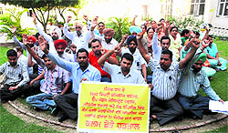 Employees of the Deputy Commissioners office stage a dharna during pen-down strike in Bathinda on Wednesday