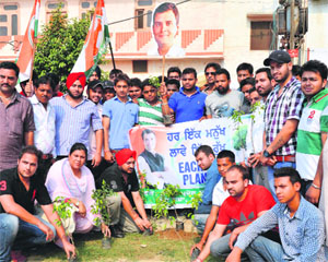 Workers of Youth Congress plant saplings on the occasion of Rahul Gandhi's birthday. 