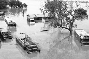 Submerged vehicles in the flooded ISBT locality near the Yamuna in Delhi on Wednesday. 