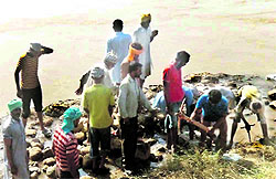 Workers repair the partially damaged dhussi bandh at Tajowal village in Nawanshahr district on Wednesday