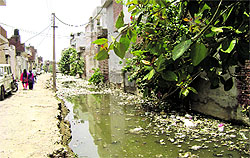 The uncovered nullah in the Partap Nagar locality of Sangrur