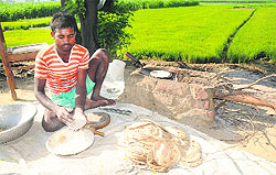 A labourer busy in preparing chapattis for fellow workers who have gone to the fields to transplant paddy on the outskirts of Bathinda on Thursday