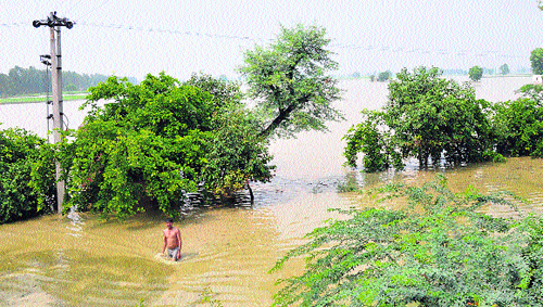 A man walks out of a flood-affected area in Sonepat district.