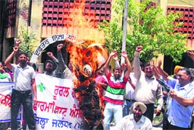 Rural pharmacists burn the effigy of the state government in protest against non-acceptance of their demands outside the Zila Parishad office in Jalandhar