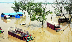 Buses and trucks submerged in the Yamuna water near the ISBT in New Delhi on Thursday