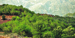 Indrunag hill in Dharamsala.