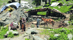 A nomadic family sets up a makeshift house at Chandanwadi in Pahalgam on Friday. Many nomadic families have reached the place to serve Amarnath pilgrims.
