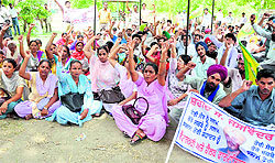 Veterinary pharmacists protest against the state government in Bathinda on Saturday