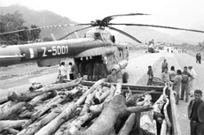 Logs of wood meant for the cremation of pilgrims who died at Kedarnath at the Gauchar airstrip on Monday. 