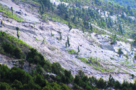A chunk of government forest land in possession of a power project firm near Palampur, faces large-scale landslides because of the cutting of hills. 