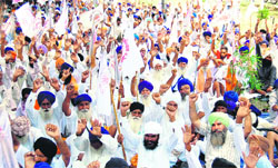 Activists of the Kisan Sangharsh Committee, Punjab, stage a protest in Amritsar on Thursday. 