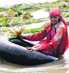 Gangdaspur Chota village near Haridwar is still submerged.  
