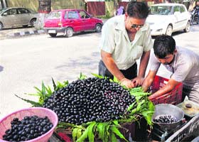 Brisk sales: A vendor sells blueberries on a roadside in Karnal