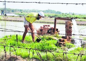 A farmer in his fields near the border area in Amritsar