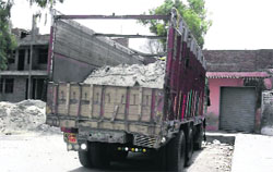 One of the trucks imponded by the District Transport Office in Bathinda on Saturday. A Tribune photograph