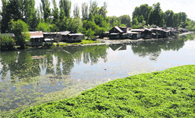 A view of the Chunt Kul river in Srinagar on Saturday. The river is dying a slow death due to official apathy. It has not only been polluted but has been encroached upon as well.