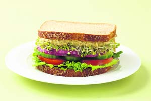 Sprouts can be used in sandwiches as fillings