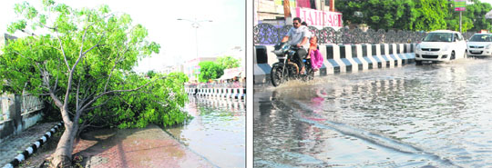  A tree that was uprooted during a thunderstorm in front of Harchand cinema in Bathinda on Sunday; a motorcyclist makes his way through a waterlogged road. 