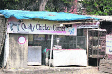 A view of an illegal slaughterhouse near the Jalandhar bus stand.