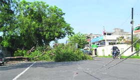 Power supply to Sarabha Nagar was disrupted after a tree fell on electricity cables following a squall on Saturday.
