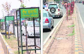 Saplings planted on road dividers wither and plant guards go missing in Amritsar