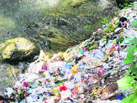 A water channel seen choked with polythene bags in Palampur.