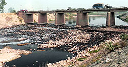 The polluted Ghaggar near Nada Sahib
