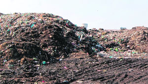 The Bhaktanwala garbage dump in Amritsar.