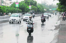 People make their way in the rain near the Rose Garden in Bathinda on Tuesday afternoon.