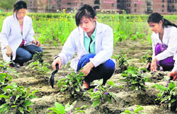 Students participate in a programme on organic farming near Jalandhar on Tuesday. A Tribune Photograph