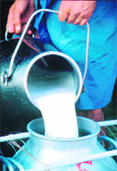 SC says milk adulteration is a serious matter