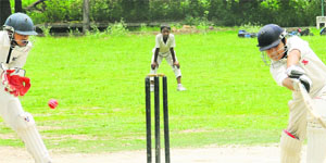 Players in action during the ongoing CCA Cricket Cup at Guru Nanak Public School, Sector 36, in Chandigarh on Wednesday.