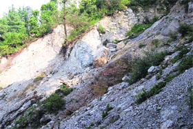 The landslide zone just below the famous tourist destination of Company Garden in Mussoorie