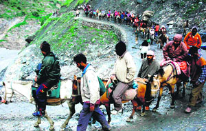 As many as 64,993 pilgrims have had darshan of the ice lingam of Lord Shiva at the cave shrine during the first five days of the pilgrimage which began via the Pahalgam and Baltal routes on June 28.