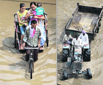 A rickshaw-puller and a tractor-trailer slug it out on water-logged roads in Jalandhar on Thursday. 