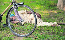 A man sleeps in the shade of a tree in a lawn at Punjab Agricultural University in Ludhiana. Photo: Inderjeet Verma