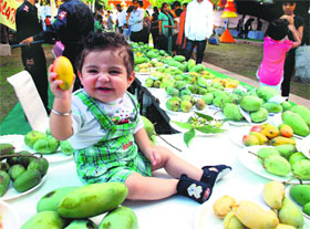 This one is delicious: A child has a nice time sitting on a stall during Mango Festival at Pinjore on Saturday.