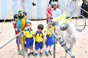 Students of SMD Little Champs School, Sector 2, Panchkula, visit Apollo Circus on Sunday. 