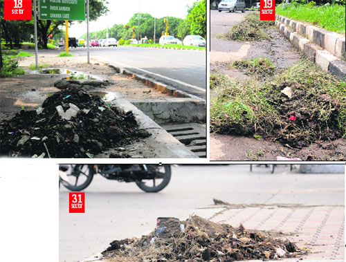 Garbage piled up by the MC staff near drains in Chandigarh.