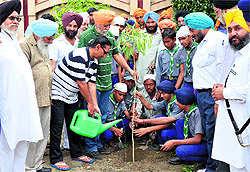 Volunteers take part in a plantation drive to mark Environment Care Week at Sarabha Nagar in Ludhiana on Sunday