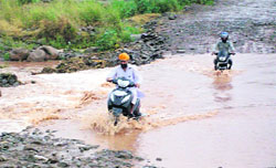 Vehicles cross through the Chikni khad in Nalagarh subdivision.