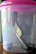 The countrymade pistol and live cartages that were recovered from their possession