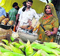 A woman sells a grilled sweetcorn as it is in great demand during the rainy season in Karnal