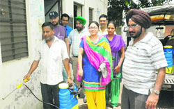 A Health Department team sprays temephos in Nurpur Colony, near Jalandhar, on Thursday. A Tribune Photograph