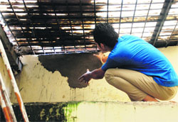 A man shows the repaired wall from where an attempt was made by the thieves to enter a jewellery showroom in Sector 20, Panchkula, on Friday.