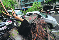 Vehicles damaged by fallen trees after the Typhoon Soulik hit Taipei on Saturday.
