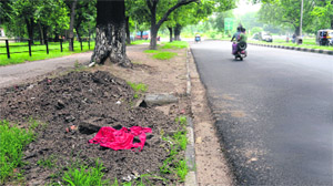 Garbage lying near a road gully which was removed by the MC staff at Sector 18, Chandigarh. 