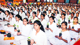 Students take a pledge to save Himalayas at Dev Sanskriti University in Haridwar on Sunday.